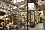 missiemuseum steyl 5-2022 2608